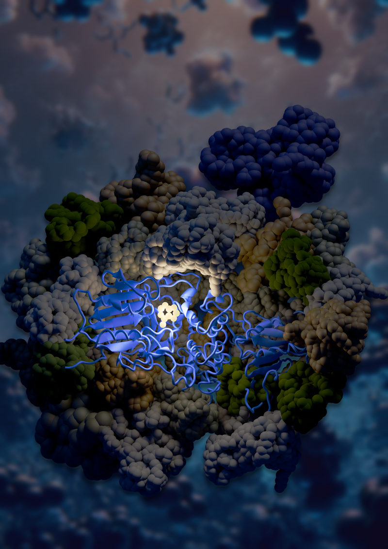 GENESIS2.1 cover image design 2