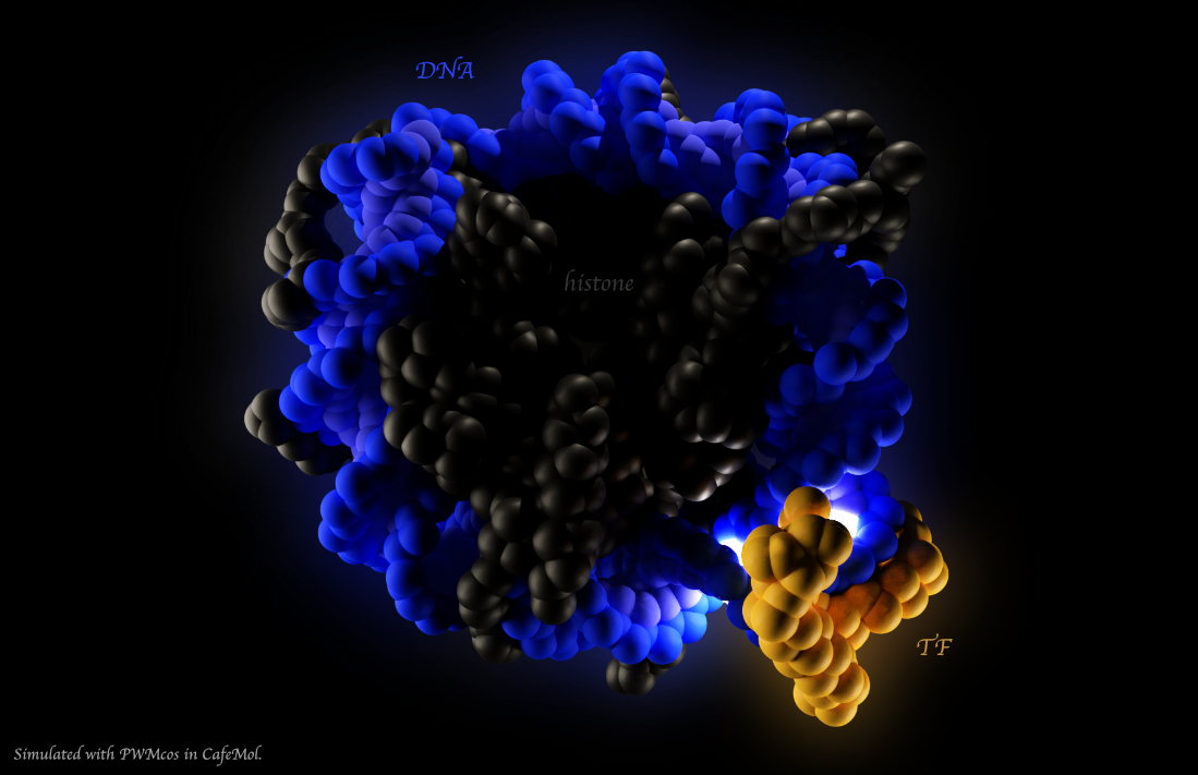 CG art of molecule recognition.